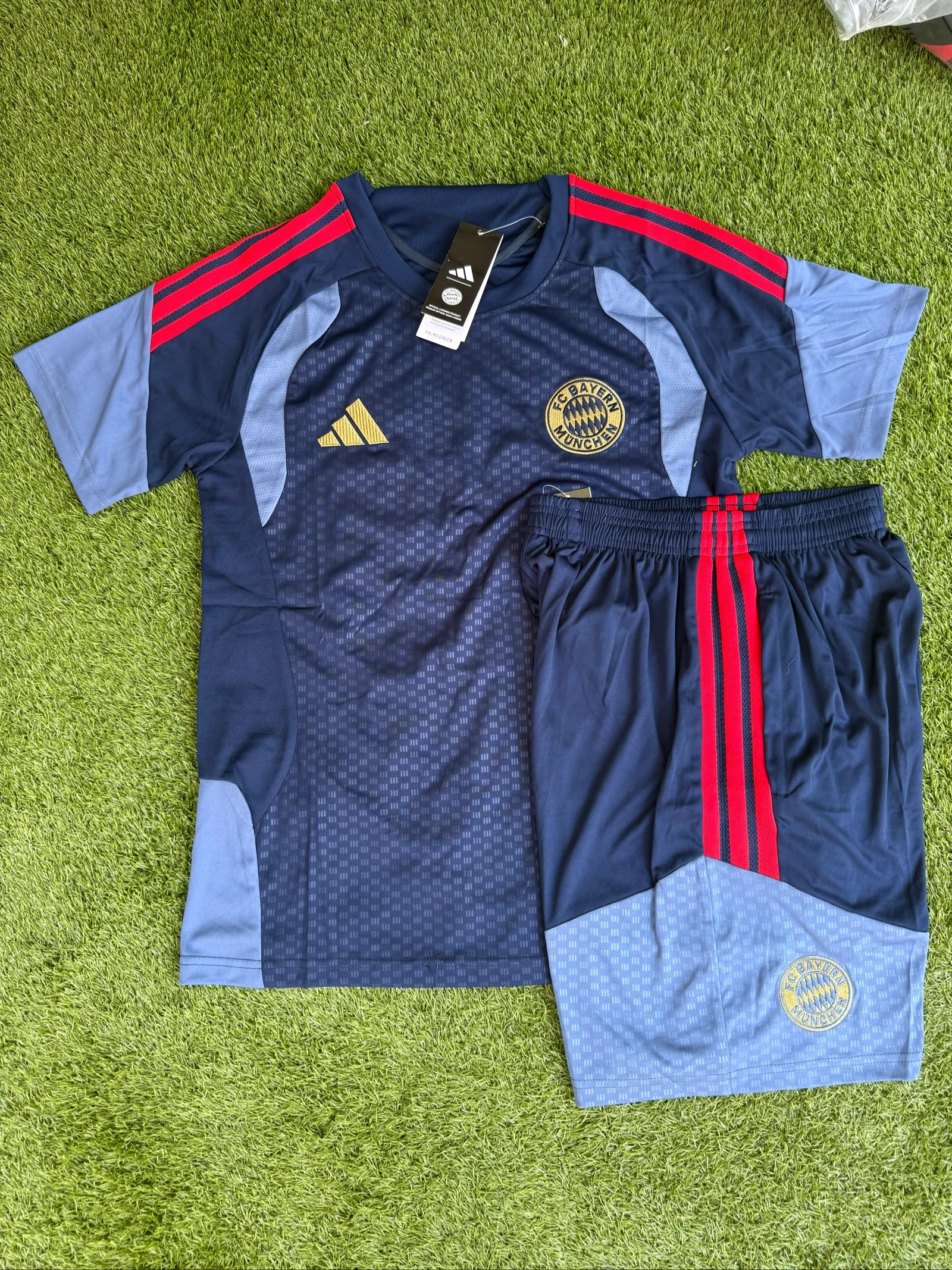 Conjunto de entrenamiento 